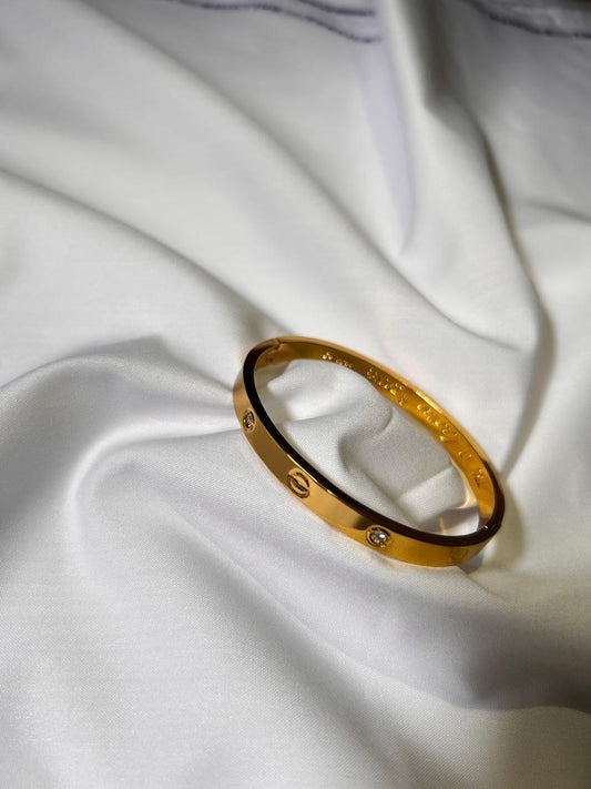 Golden Embrace Screw Bangle - 18K Gold Plated